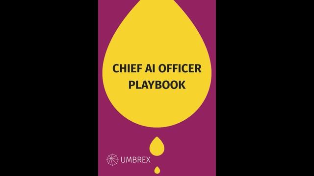 ChiefAIOfficerPlaybook