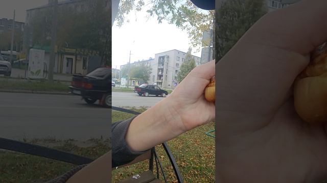 иду в школу