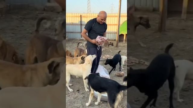 Разбор комментарий, попавшие в спам