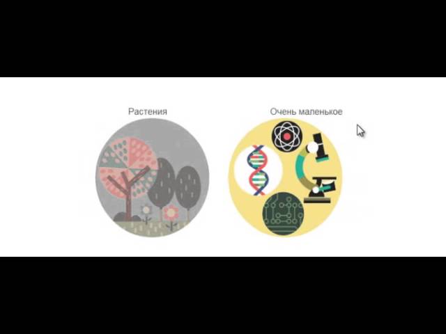 Изучаем схемы Джона Ленна в новой флешке от Google