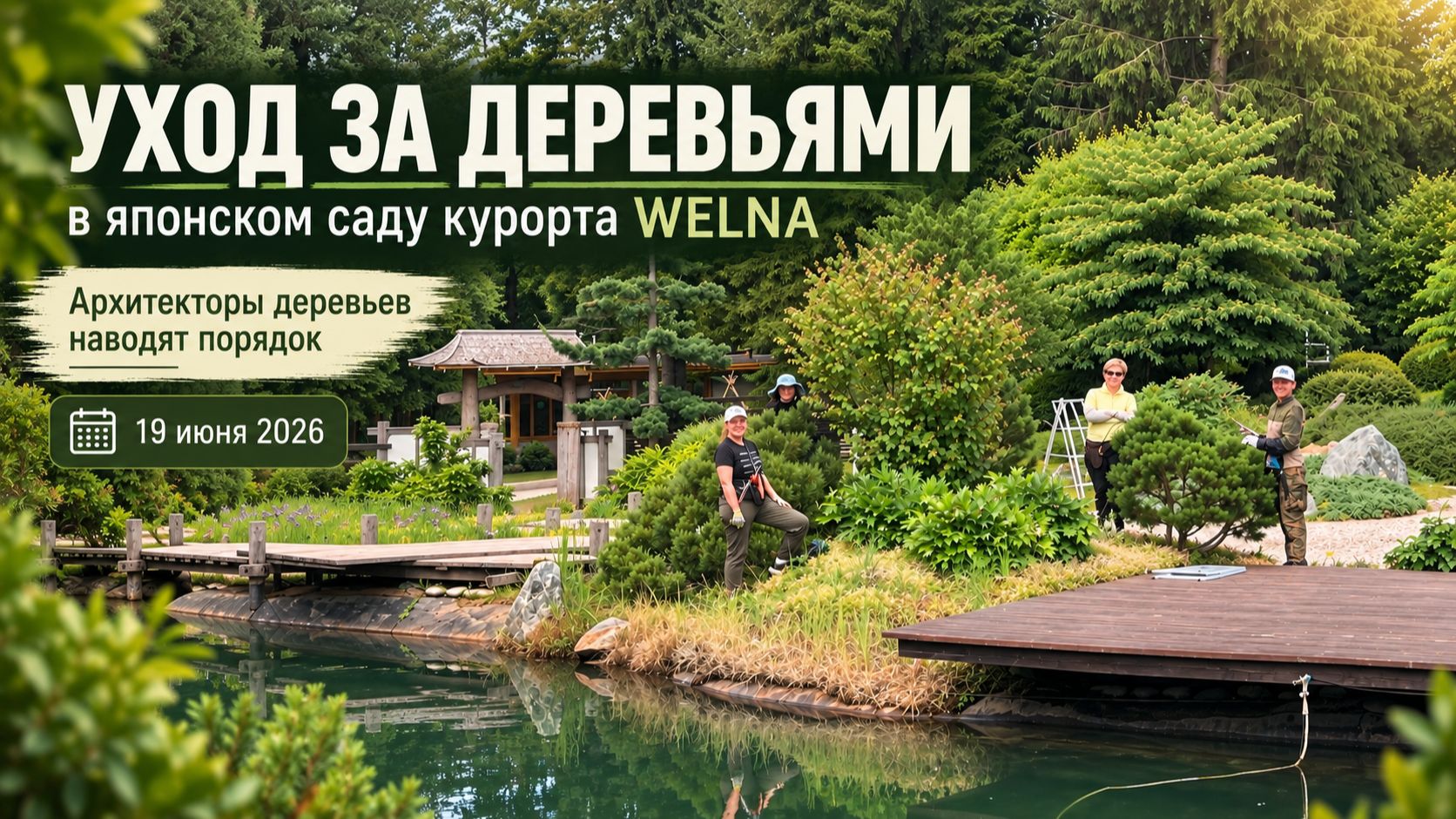 Обрезка деревьев в японском саду Welna