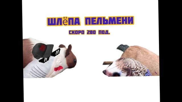 приготовь срочно эти пельмени!! 💗 :З😍