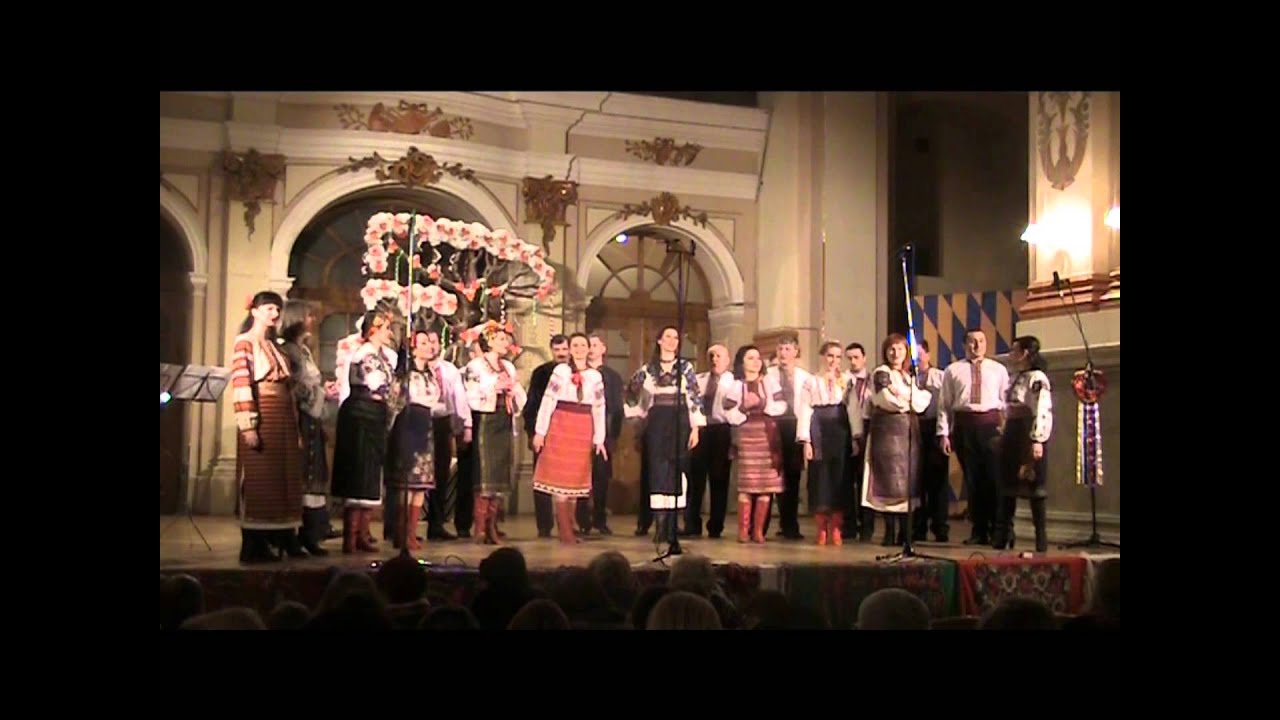 Kohajmosia part 08