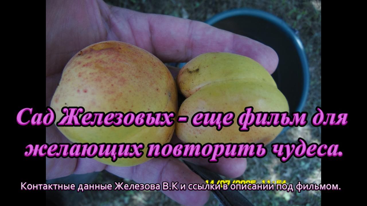Сад Железовых - еще фильм для желающих повторить чудеса.