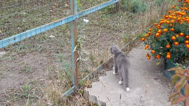 ОБЫЧНЫЙ ПОНЕДЕЛЬНИК, ТОМИК ИЗУЧАЕТ МИР...