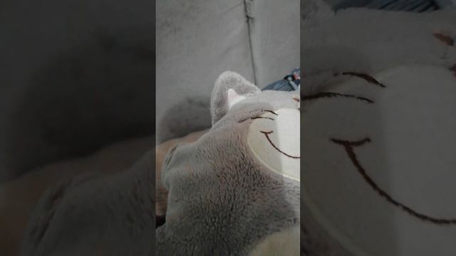 приключения кысульки 1 сезон 3 серия (Барсик предатель)