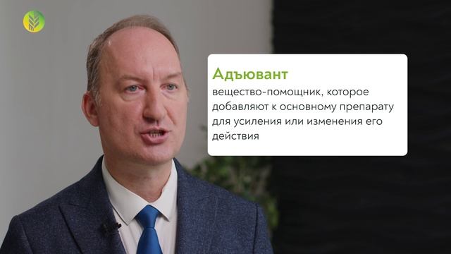 Подкормка по листу: скорая помощь для растении