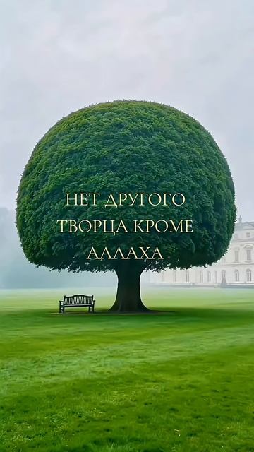 20 сентября 2026 г.