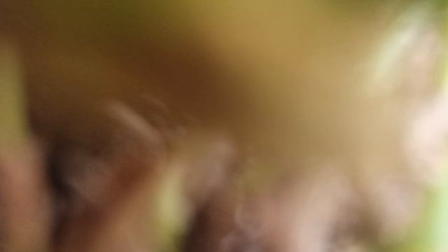 я в деревне 2 часть.