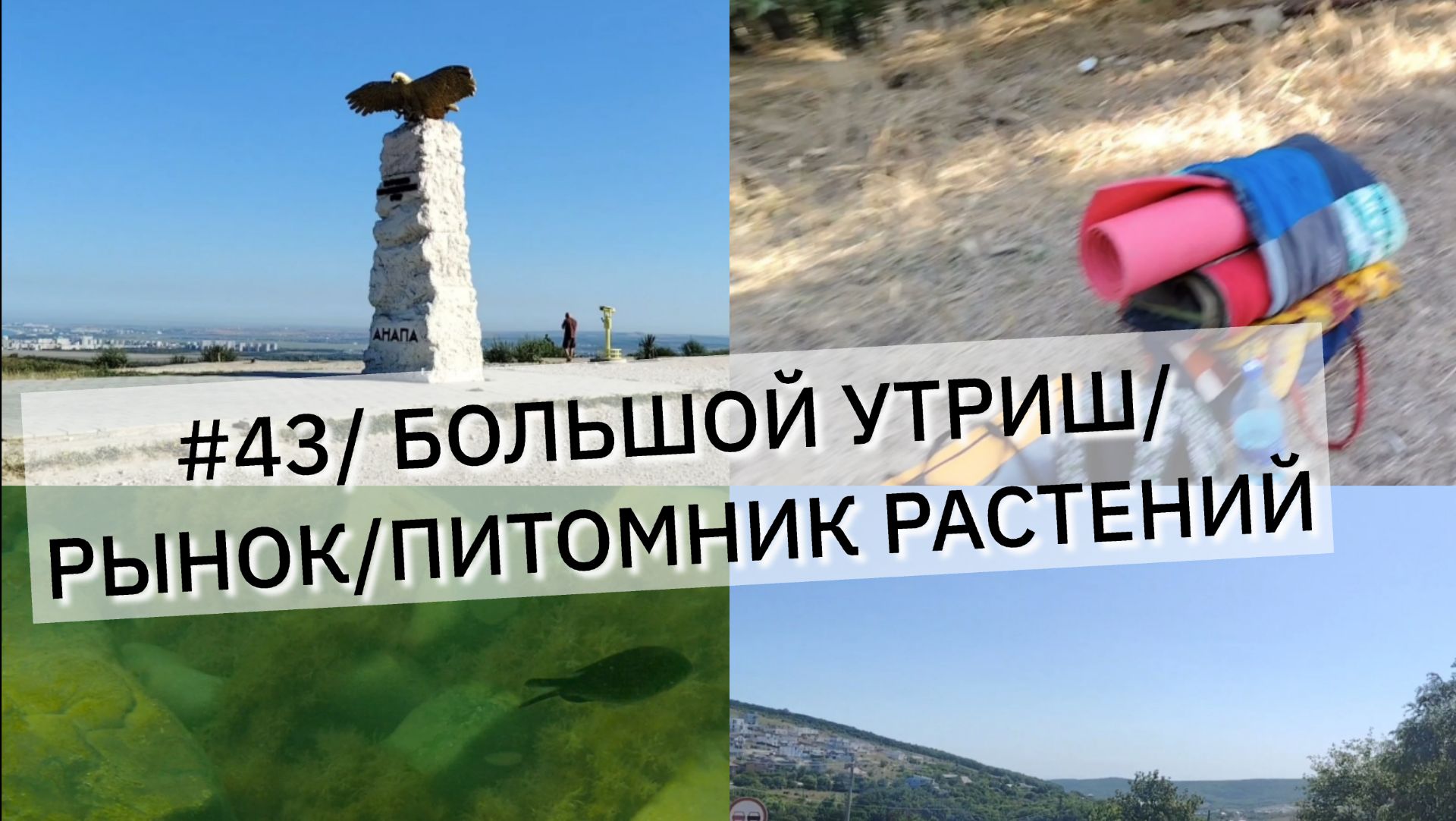#43/ БОЛЬШОЙ УТРИШ/РЫНОК/САД РАСТЕНИЙ