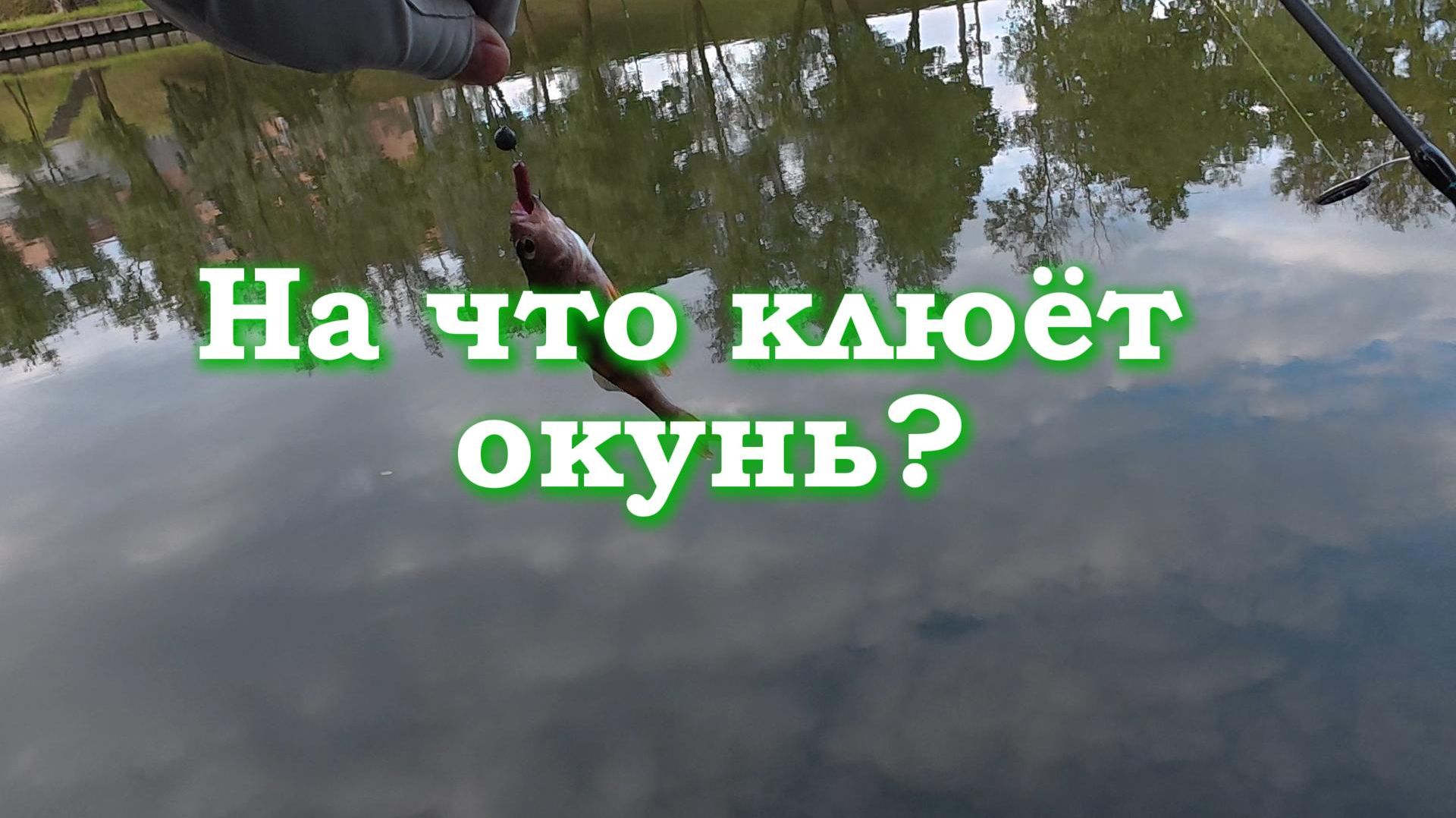 На что клюёт окунь? Обзор спиннинга Favorite Blue Bird 682SUL-S.