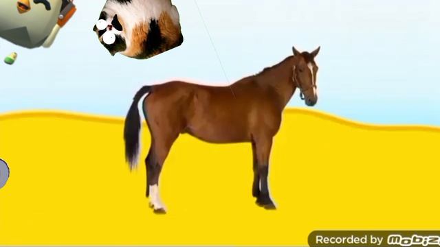 побег от наггетса раунд 2 (котость)