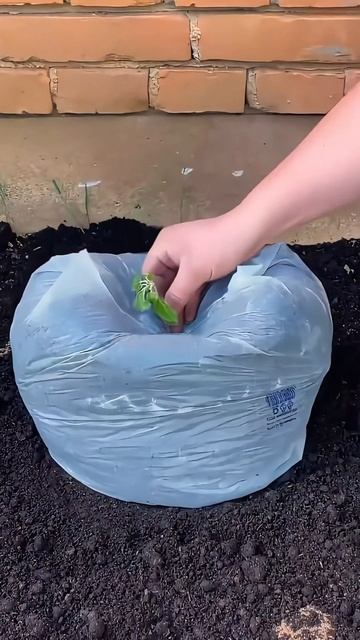 Полезный лайфхак, который пригодится каждому