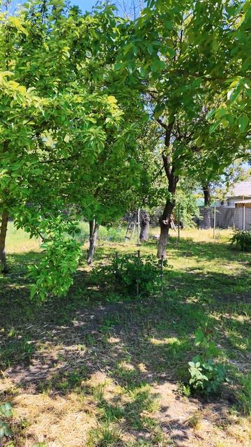 🏡Каркасный дом с садом📋 31 м²🦯10 соток💰1 400 000 ₽ 📍станица Новоминская📲89245404992 Виктор С🌴