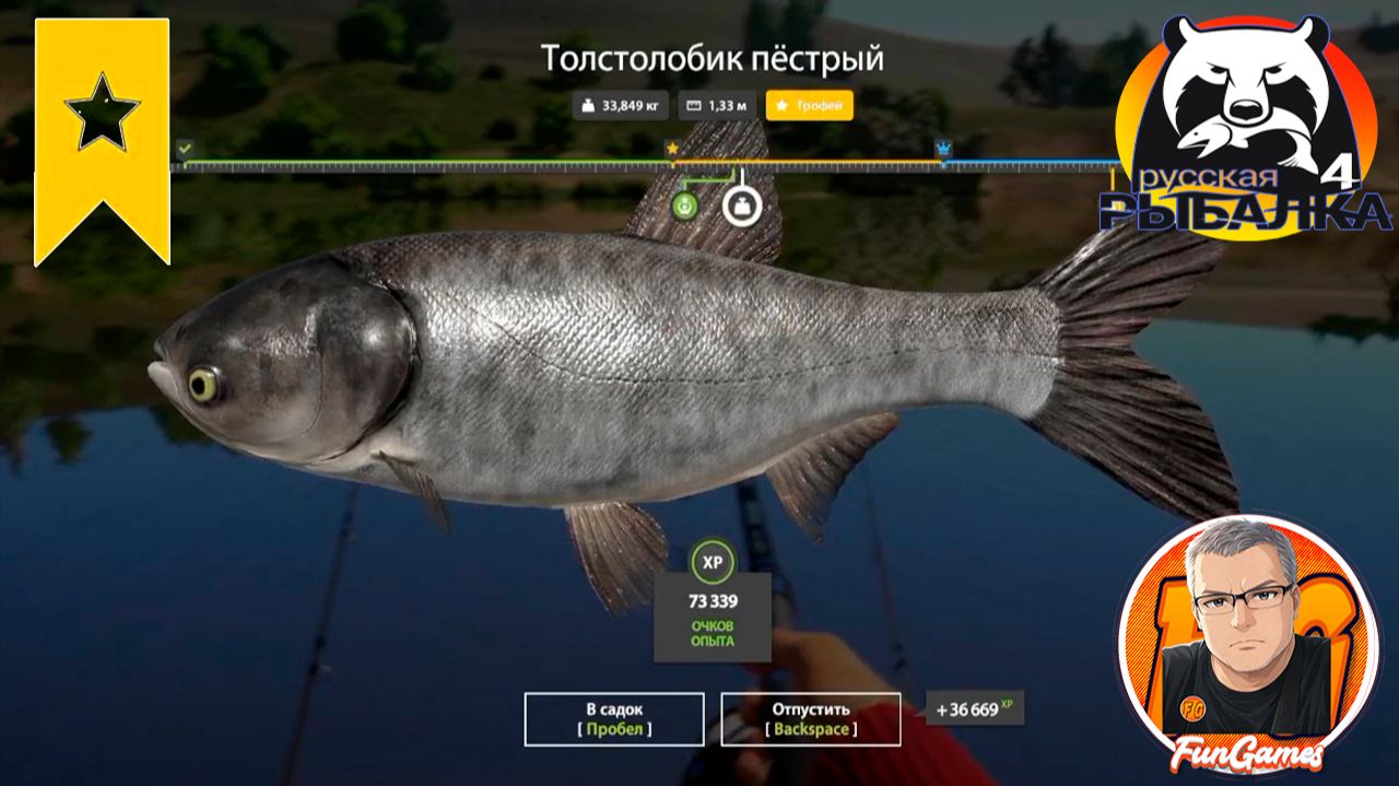 Толстолобик на реке Сура. Ловим Толстолобика белого на Суре. Русская рыбалка 4. рр4.