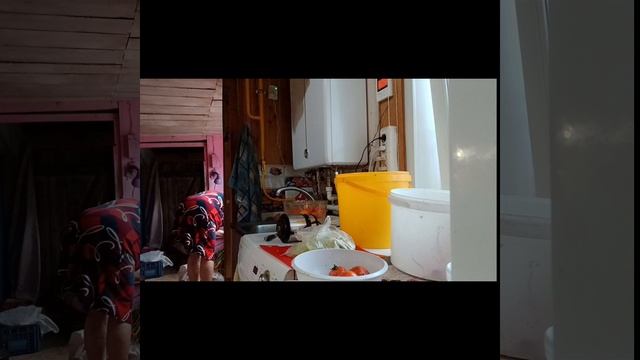 Манты, Хинкали и Зелёная аджика