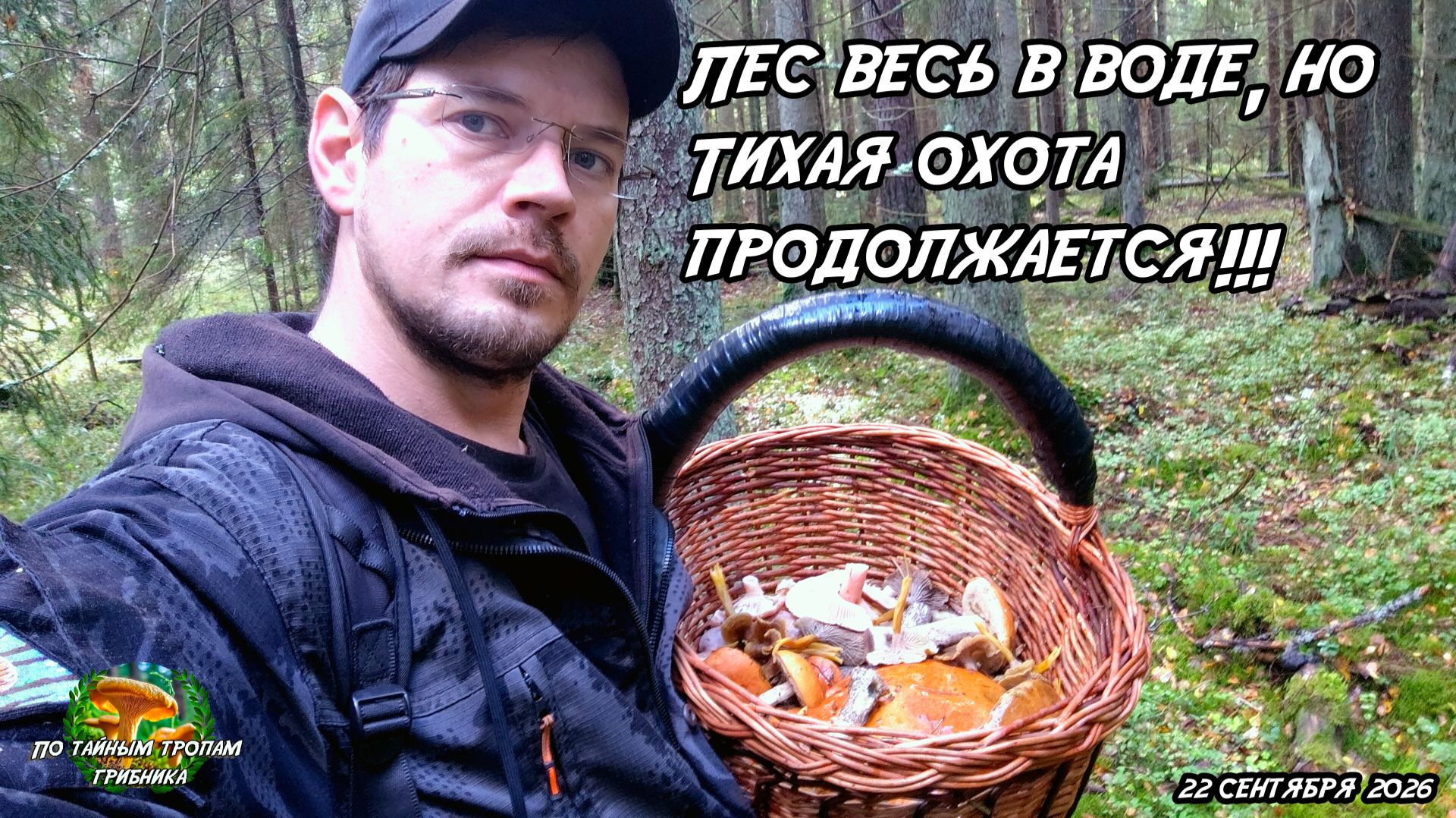 Лес весь в воде, но тихая охота продолжается!!! 22 сентября 2026