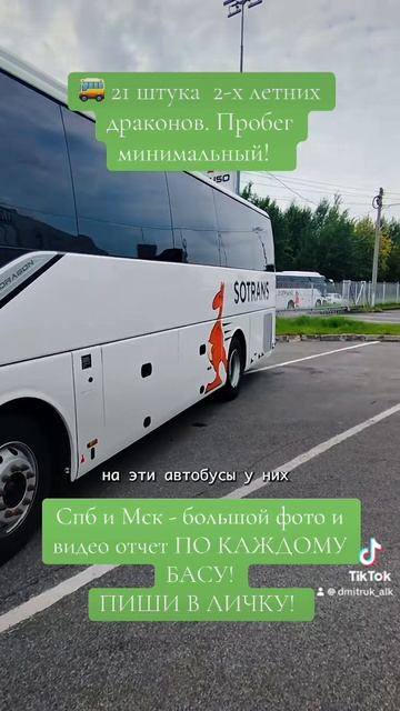 🚌 21 штука  2-х летних драконов. Пробег минимальный!