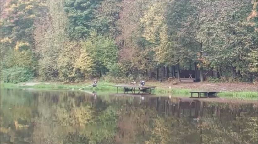 Обзор с верхнего водоёма. Клёвое место, Лосиный остров.
