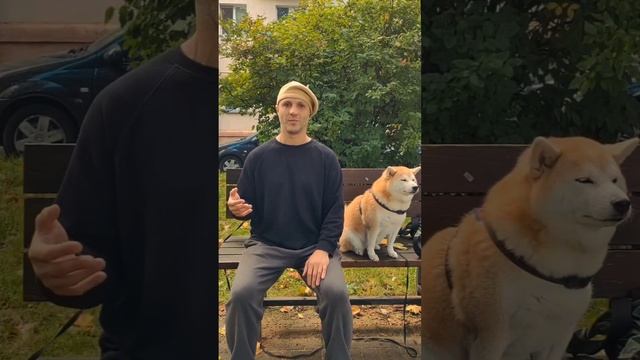 Немного о себе и планах на ближайшее будущее