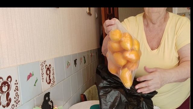 Неугомонная хозяйка