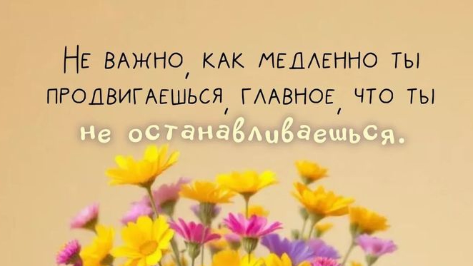 Без сценария