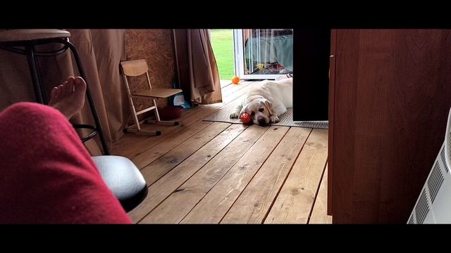 Плов 😋 Моя Жизнь в Деревне 23-09-2026