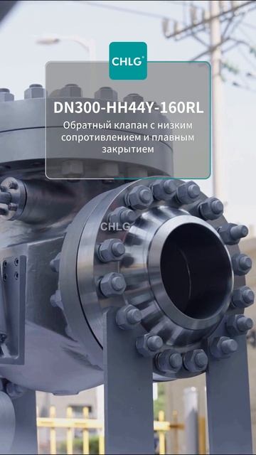DN300-HH44Y-160RL Обратный клапан с микросопротивлением и плавным закрытием-CHLG