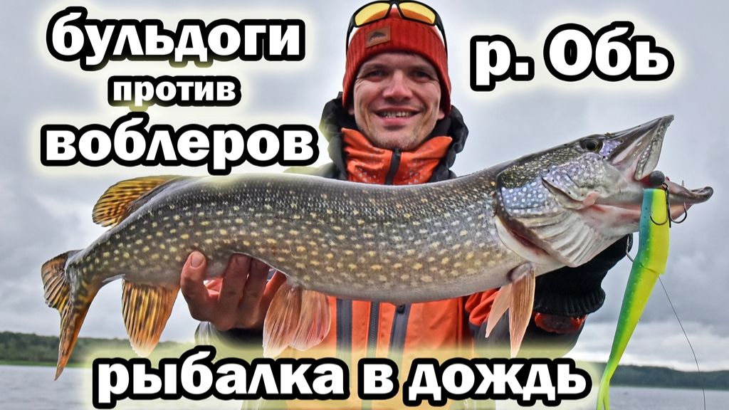 Дождливый финал на Оби