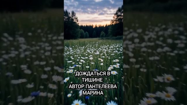 Дождаться в тишине