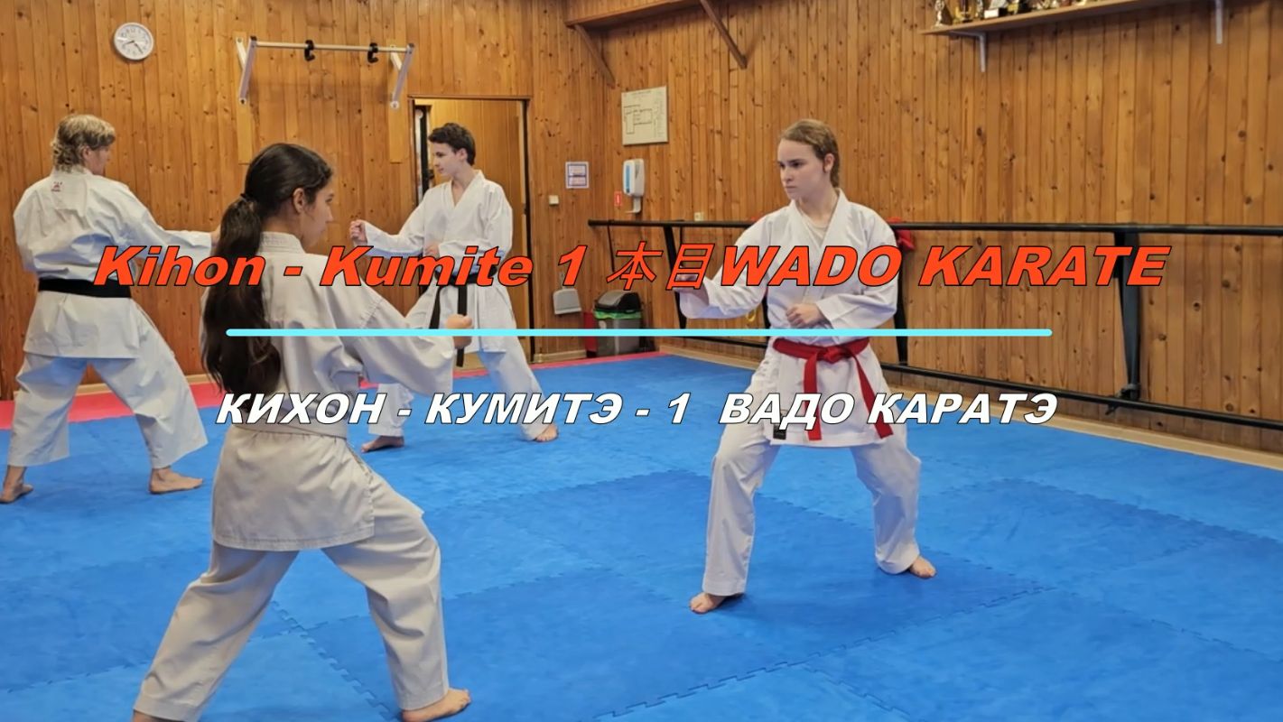 Кихон-кумитэ -1 ВАДО каратэ