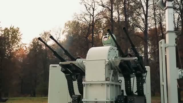 Новейшая система поражения воздушных целей «Зубр» | © 2026