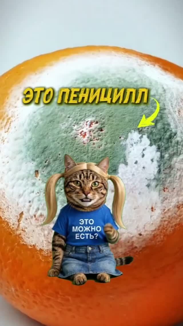 Это можно есть?