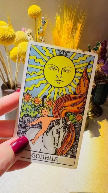 Прогноз на сегодня ☀️