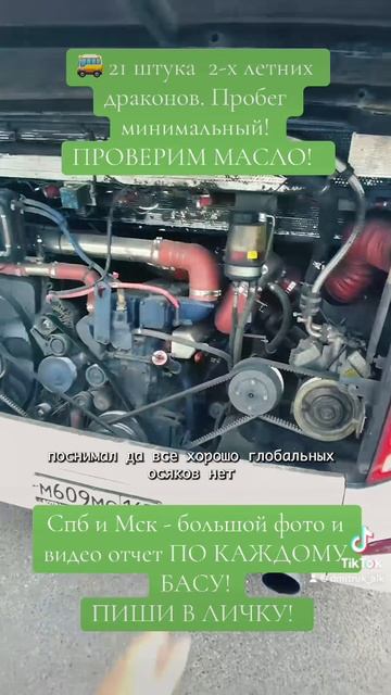 🚌 21 штука  2-х летних драконов. Пробег минимальный!   ПРОВЕРИМ МАСЛО!