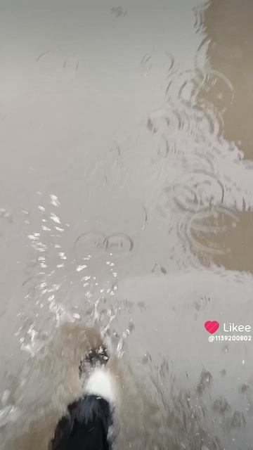 :)