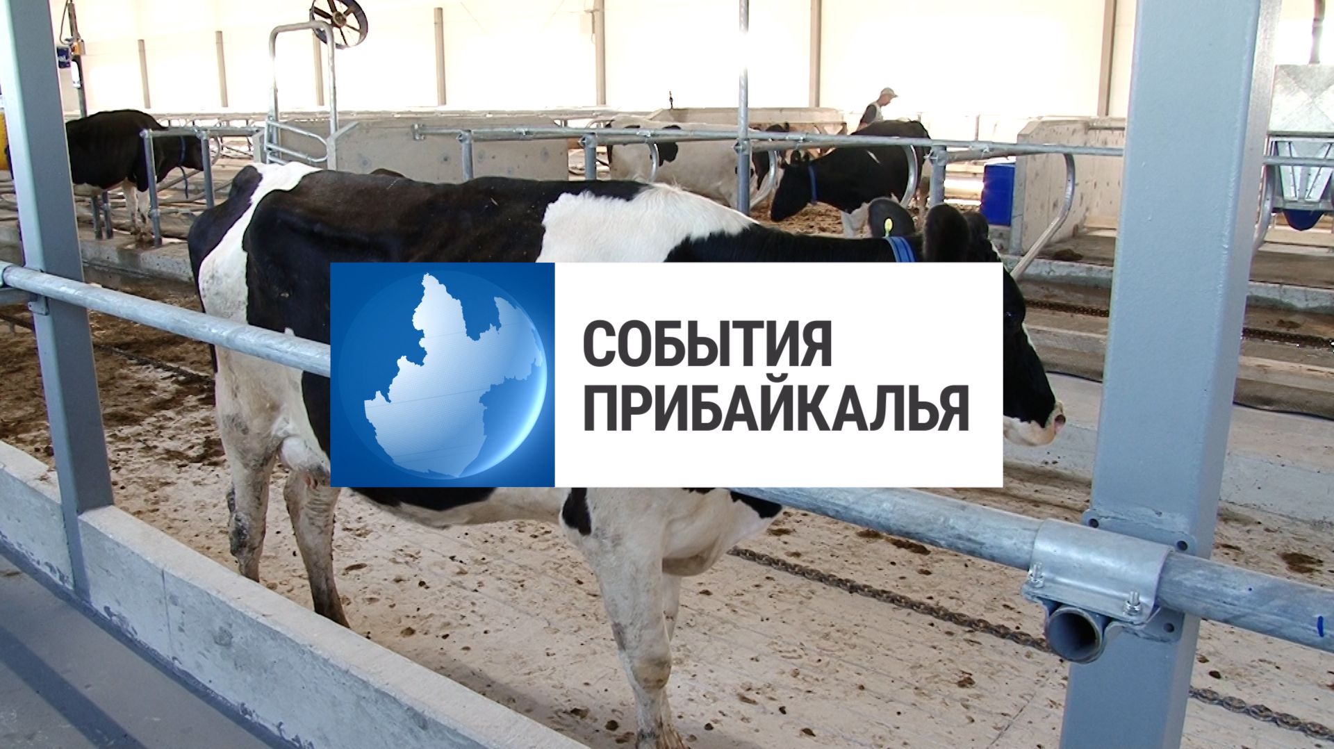 События Прибайкалья от 23.09.2026 | Режим ЧС | Акция по выпуску мальков | «Рекорд» по штрафам