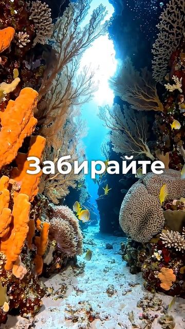 Информационный мусор