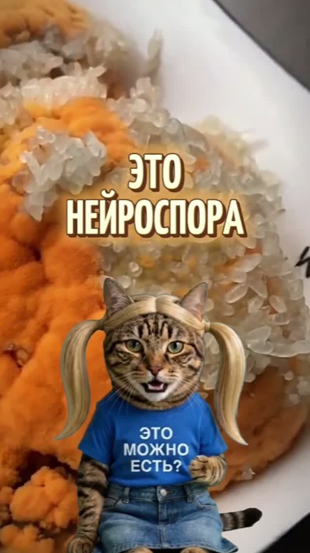Не рискуй!
