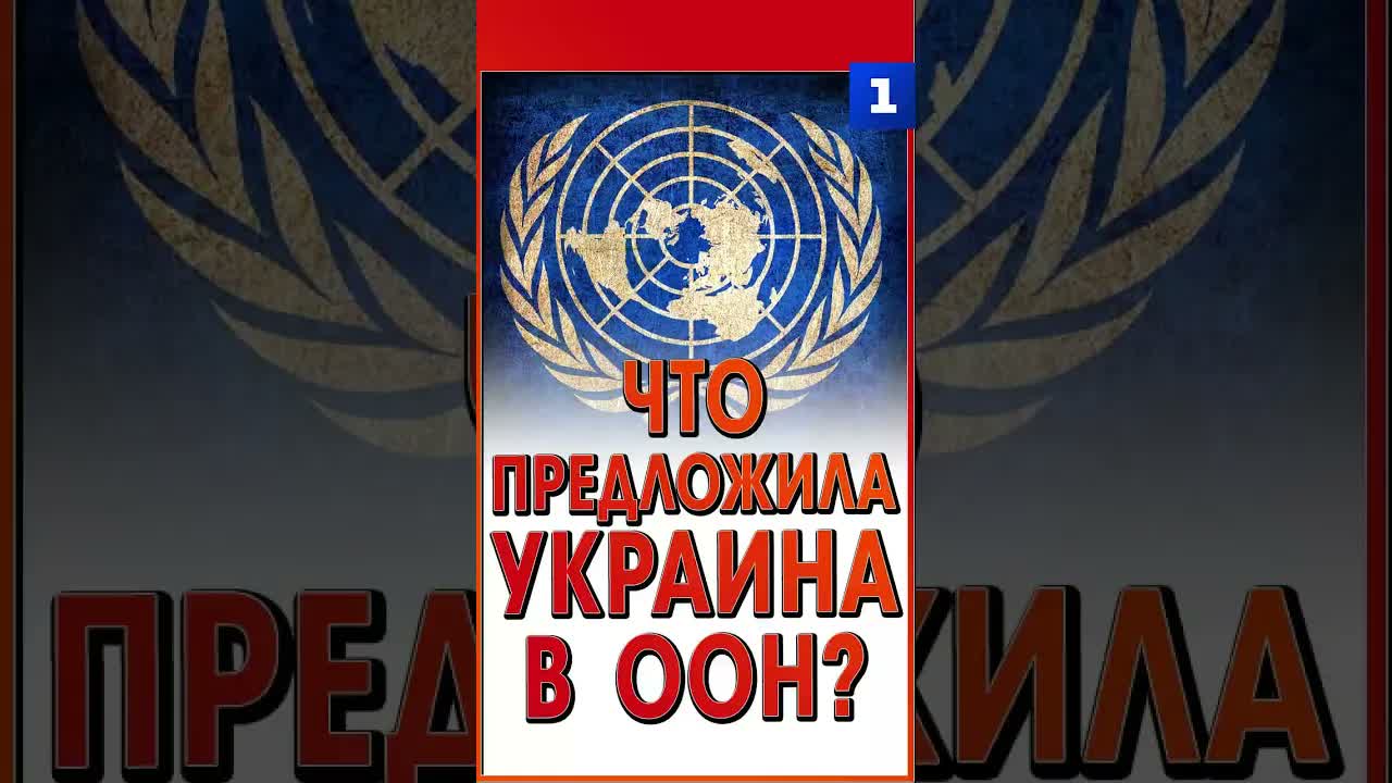 Что предложила Украина в ООН?