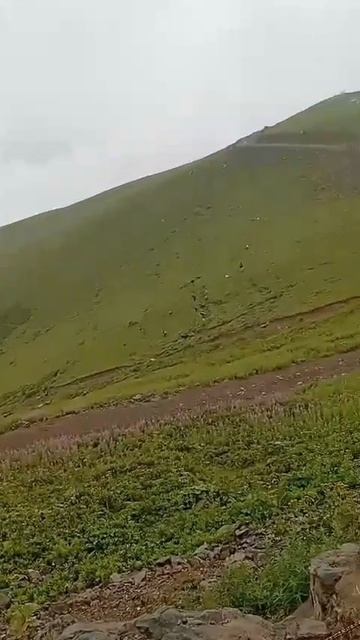 Края родные! Сочи. Перед грозой. Наблюдали?