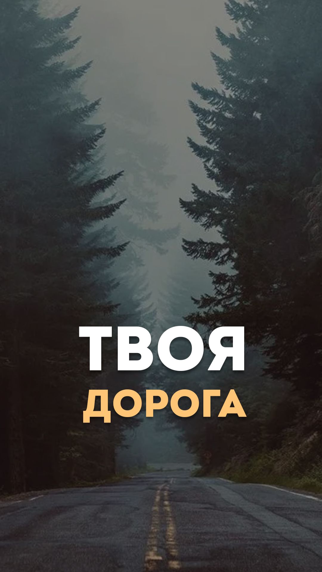 Твоя дорога