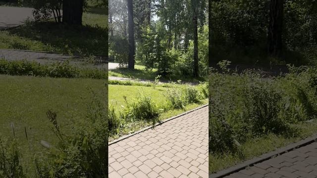 Живу одним днем! Что будет дальше не понимаю! Мама в Краснодаре одна!вся на нервах, но не показываю