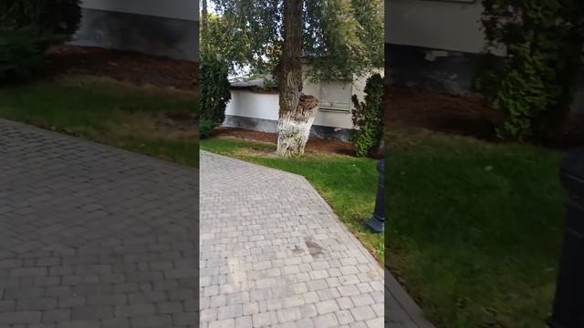 #Тамань #сквер #Лермонтов #набережная 22.09.26
