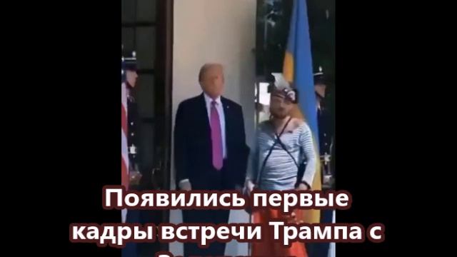 Появились первые кадры встречи Трампа с Зеленским.