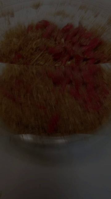 Опарыши для рыбной ловли