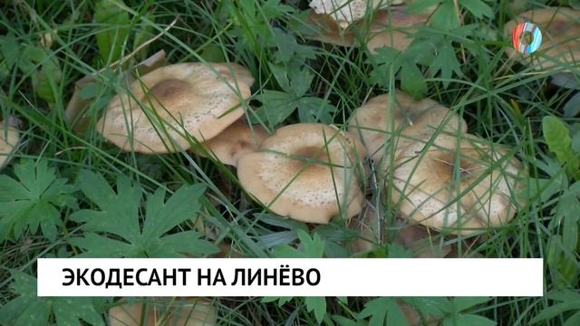 Новости от 23.09.2026