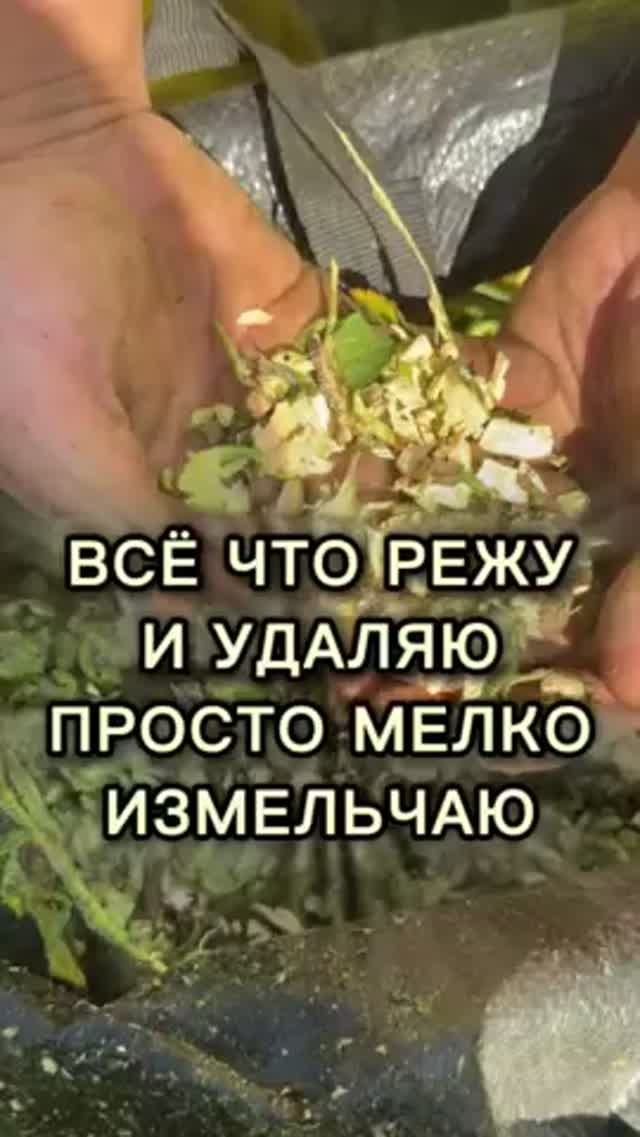 Самый простой способ избавиться от ботвы и палок!