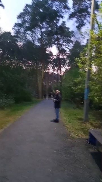 😉 Уже вечерело 🌲