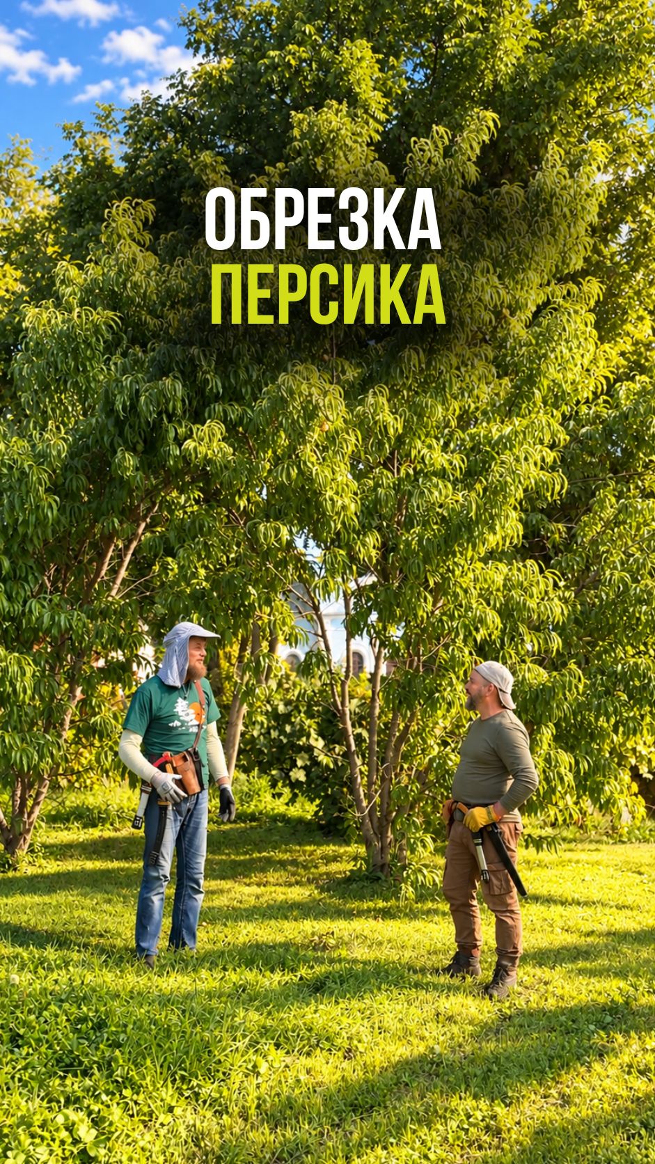 Обрезка персика